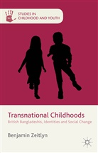 B Zeitlyn, B. Zeitlyn, Benjamin Zeitlyn - Transnational Childhoods