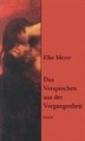 Elke Meyer - Das Versprechen aus der Vergangenheit