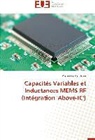Alexandre Mehdaoui, Mehdaoui-a - Capacites variables et