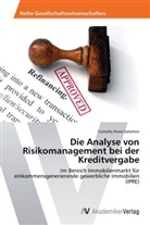 Cornelia Anna Salamon - Die Analyse von Risikomanagement bei der Kreditvergabe
