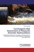 Elechi Owhoeke - Carcinogenic Risk Assessment of Polycyclic Aromatic Hydrocarbons