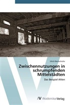 Ulrich Beckschulte - Zwischennutzungen in schrumpfenden Mittelstädten