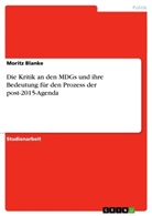 Moritz Blanke - Die Kritik an den MDGs und ihre Bedeutung für den Prozess der post-2015-Agenda