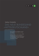Saltan Gindulin - Das neue Bundesland "Mitteldeutschland"