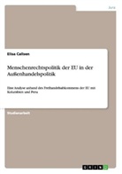 Elisa Callsen - Menschenrechtspolitik der EU in der Außenhandelspolitik