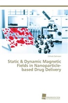 Chiheb Dahmani - Static & Dynamic Magnetic Fields in Nanoparticle-based Drug Delivery