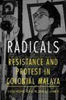 Syed Aljunied, Syed Muhd Khairudin Aljunied - Radicals