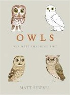 Matt Sewell - Owls