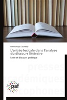 Nanourougo Coulibaly, Coulibaly-n - L entree lexicale dans l analyse
