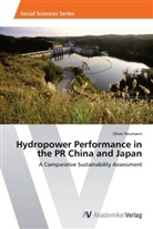 Oliver Neumann - Hydropower Performance in the PR China and Japan