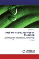 Hilal S Wahab, Hilal S. Wahab - Small Molecules Adsorption Modeling