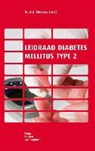 LIEVERSE A.G., G Lieverse, A. G. Lieverse, A.G. Lieverse - Leidraad diabetes mellitus type 2