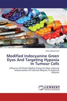 Innus Mohammad - Modified Indocyanine Green Dyes And Targeting Hypoxia In Tumour Cells