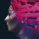 Steven Wilson - Hand.Cannot.Erase, 1 Audio-CD (Livre audio)
