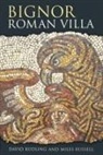 Miles Russell, David Rudling, Dr Miles Russell, Miles Russell - Bignor Roman Villa