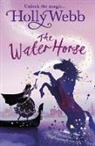 Holly Webb - A Magical Venice story: The Water Horse