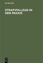 Blau, Blau, Günter Blau, De Gruyter, Hans-Diete Schwind, Hans-Dieter Schwind - Strafvollzug in der Praxis