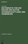Dirk Rein - Mathematik für die Praxis des Naturwissenschaftlers und Ingenieurs