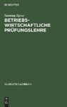 Henning Egner - Betriebswirtschaftliche Prüfungslehre