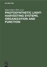 Hug Scheer, Hugo Scheer, Schneider, Schneider, Siegfried Schneider - Photosynthetic Light-Harvesting Systems
