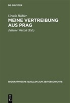Ursula Hübler, Julian Wetzel, Juliane Wetzel - Meine Vertreibung aus Prag