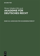 Jürgen Regge, Werner Schmid, Werne Schubert, Werner Schubert - Akademie für Deutsches Recht 1933-1945 - Bd III,5: Akademie für Deutsches Recht / Ausschuß für Schadenersatzrecht