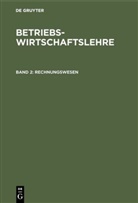 Dieter Schneider, Degruyter - Betriebswirtschaftslehre - Band 2: Rechnungswesen