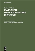 Gerhard Schulz - Zwischen Demokratie und Diktatur - Band 3: Von Brüning zu Hitler