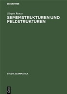 Jürgen Kunze - Sememstrukturen und Feldstrukturen