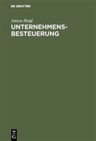 Anton Heigl - Unternehmensbesteuerung