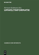 Herman Krallmann, Hermann Krallmann - Umweltinformatik