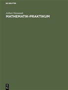 Aribert Nieswandt - Mathematik-Praktikum