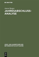 Anton Burger - Jahresabschlußanalyse