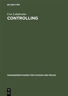 Uwe Lebefromm - Controlling