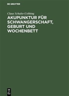 Claus Schulte-Uebbing - Akupunktur für Schwangerschaft, Geburt und Wochenbett
