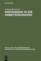 Gerhard Brinkmann - Einführung in die Arbeitsökonomik