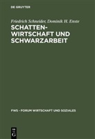 Dominik Enste, Dominik H Enste, Dominik H. Enste, Friedric Schneider, Friedrich Schneider - Schattenwirtschaft und Schwarzarbeit