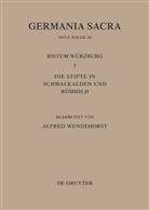Helmut Flachenecker, Hedwig Röckelein, Alfre Wendehorst, Alfred Wendehorst - Germania Sacra, Neue Folge - Bd 36: Die Bistümer der Kirchenprovinz Mainz: Das Bistum Würzburg 5: Die Stifte in Schmalkalden und Römhild