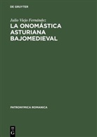 Julio Viejo Fernandez, Julio Viejo Fernández - La onomastica asturiana bajomedieval