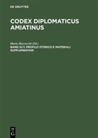 Kurze, Kurze, Wilhelm Kurze, Mari Marrocchi, Mario Marrocchi - Codex diplomaticus Amiatinus - Band III/1: Profilo storico e materiali supplementari