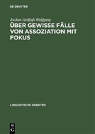 Jochen Geilfuss-Wolfgang - Über gewisse Fälle von Assoziation mit Fokus