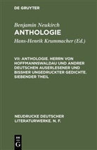 Benjamin Neukirch, Erik A Metzger, Erika A Metzger, M Metzger, M Metzger, Erika A. Metzger... - Benjamin Neukirch: Anthologie - VII: Anthologie. Herrn von Hoffmannswaldau und andrer Deutschen auserlesener und bißher ungedruckter Gedichte. Siebender Theil