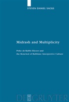 Steven D. Sacks, Steven Daniel Sacks - Midrash and Multiplicity