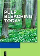 Hans Ulrich Suess, Ulrich Suess - Pulp Bleaching Today