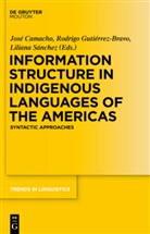 José Camacho, Rodrig Gutiérrez-Bravo, Rodrigo Gutiérrez-Bravo, Liliana Sánchez - Information Structure in Indigenous Languages of the Americas