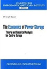 Christoph Gatzen - The Economics of Power Storage
