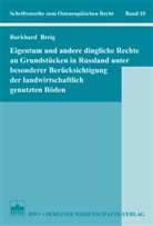 Burkhard Breig - Eigentum und andere dingliche Rechte an Grundstücken in Russland unter besonderer Berücksichtigung der landwirtschaftlich genutzten Böden