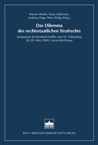 Hans Achenbach, Werner Beulke, Klaus Günther, Roland Hefendehl, Walter Kargl, Heribert Ostendorf... - Das Dilemma des rechtsstaatlichen Strafrechts
