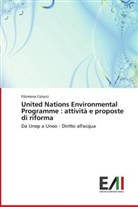 Filomena Colucci - United Nations Environmental Programme : attività e proposte di riforma