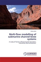 Elisha Aboh - Multi-flow modelling of submarine channel-levee systems